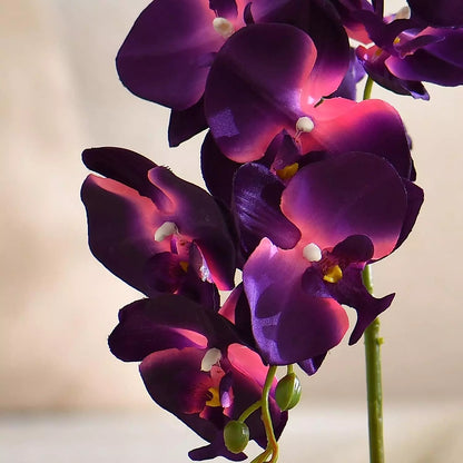 Large Artificial Potted Orchid Plant, Silk Flower Arrangement Z-Dark Purple