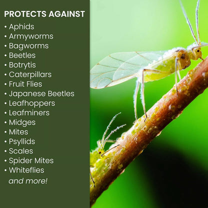 Natria 706250A Neem Oil Spray for Plants Pest Organic Disease Control, 24-Ounce.