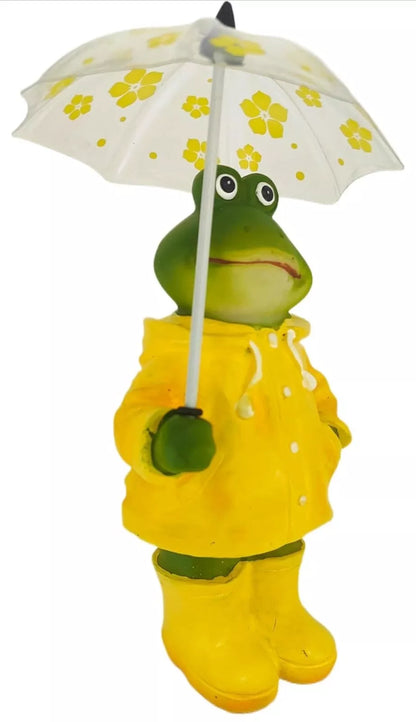 Frog With Umbrella